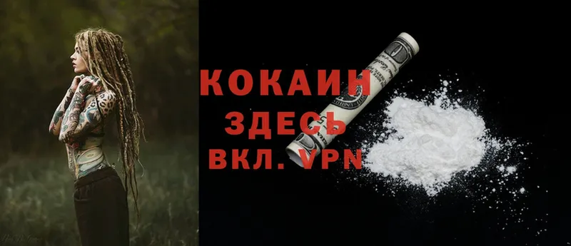 купить наркоту  Городец  Cocaine FishScale 